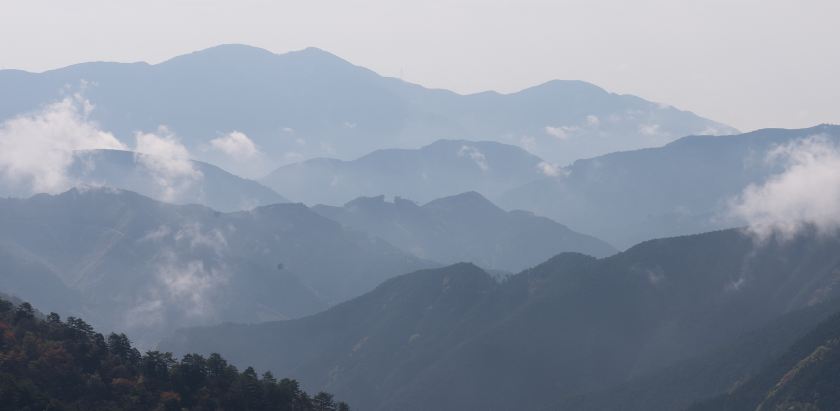 山頂からの景色