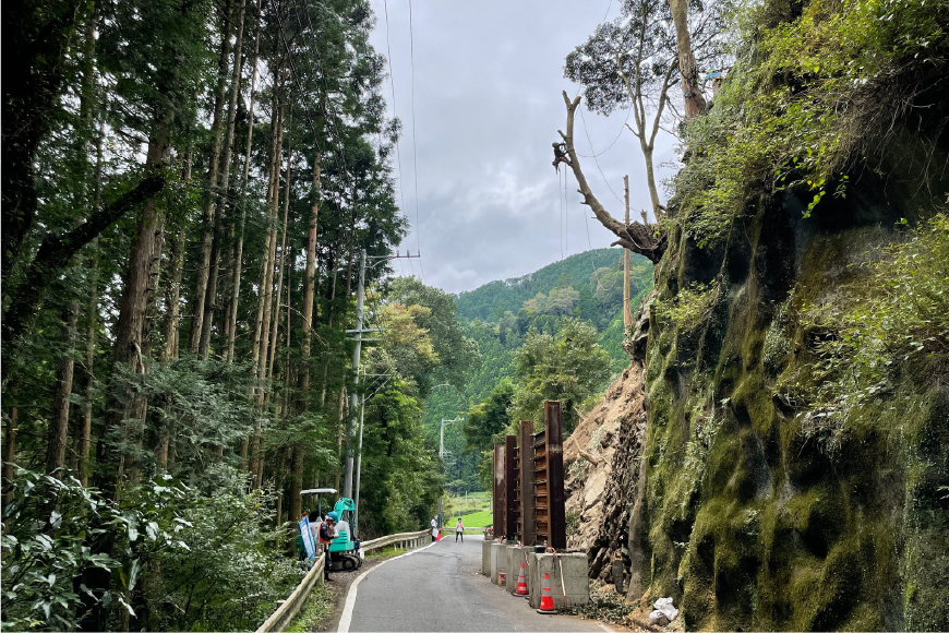 特殊伐採の様子