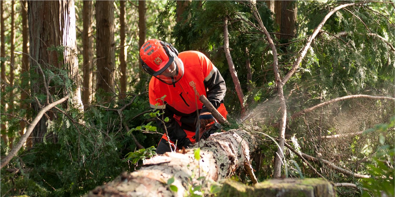 玉川きこり社の業務風景